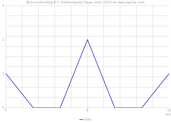 Bonora Holding B.V. (Netherlands) Page visits 2024 