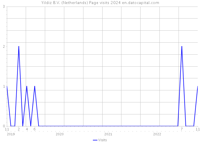 Yildiz B.V. (Netherlands) Page visits 2024 