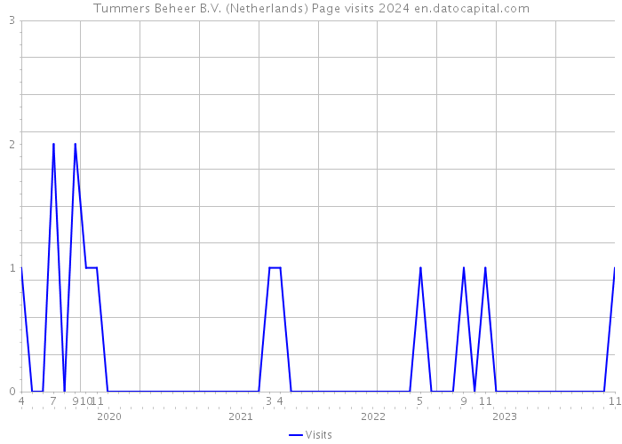 Tummers Beheer B.V. (Netherlands) Page visits 2024 