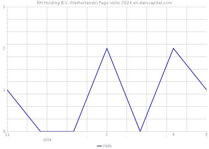 RH Holding B.V. (Netherlands) Page visits 2024 