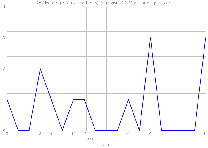 DHV Holding B.V. (Netherlands) Page visits 2024 