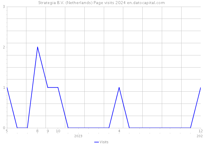 Strategia B.V. (Netherlands) Page visits 2024 