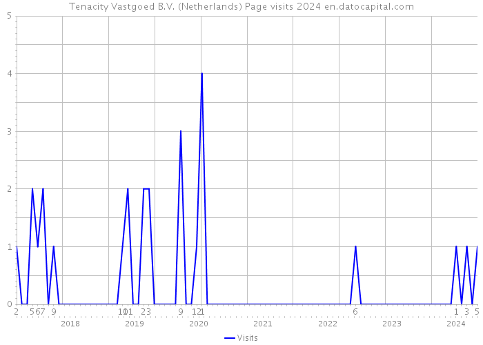Tenacity Vastgoed B.V. (Netherlands) Page visits 2024 