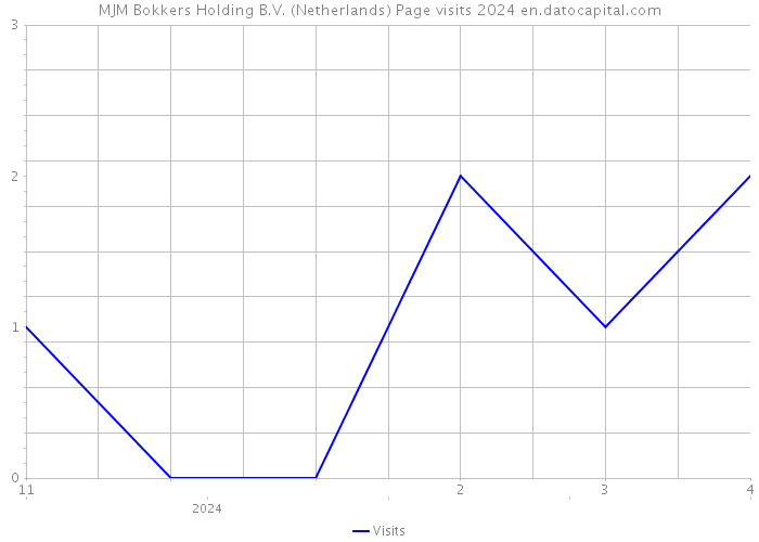 MJM Bokkers Holding B.V. (Netherlands) Page visits 2024 