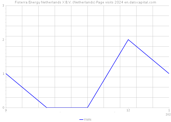 Fisterra Energy Netherlands X B.V. (Netherlands) Page visits 2024 