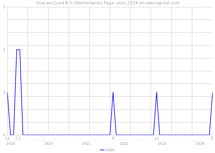 Voet en Goed B.V. (Netherlands) Page visits 2024 