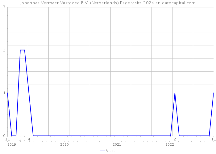 Johannes Vermeer Vastgoed B.V. (Netherlands) Page visits 2024 