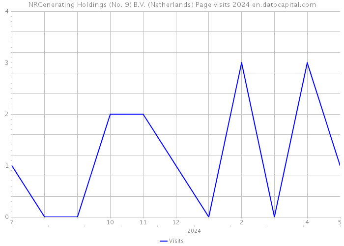 NRGenerating Holdings (No. 9) B.V. (Netherlands) Page visits 2024 