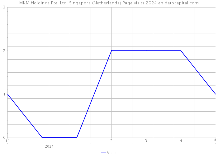 MKM Holdings Pte. Ltd. Singapore (Netherlands) Page visits 2024 