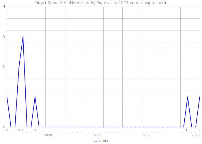Muyer Sandt B.V. (Netherlands) Page visits 2024 