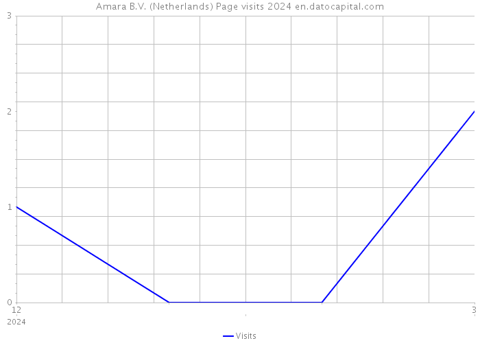 Amara B.V. (Netherlands) Page visits 2024 