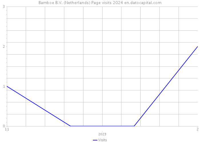 Bamboe B.V. (Netherlands) Page visits 2024 