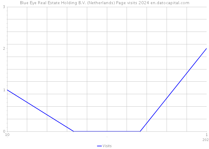 Blue Eye Real Estate Holding B.V. (Netherlands) Page visits 2024 