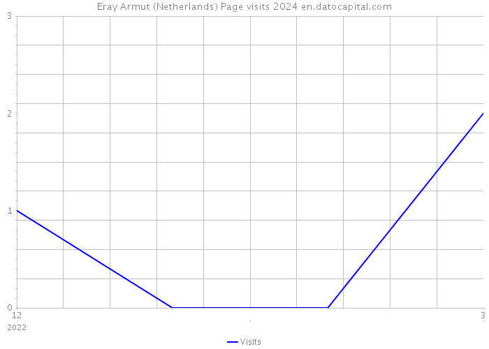 Eray Armut (Netherlands) Page visits 2024 