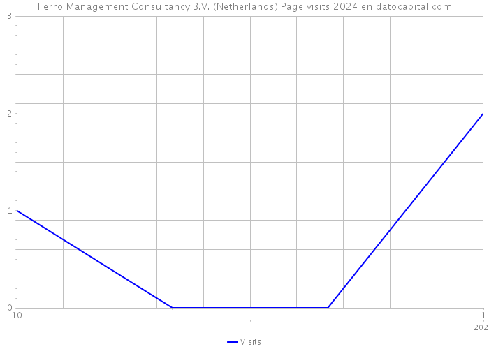 Ferro Management Consultancy B.V. (Netherlands) Page visits 2024 