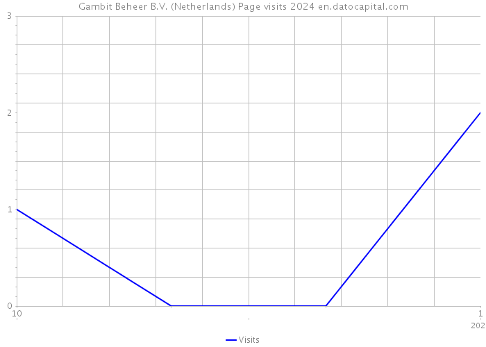 Gambit Beheer B.V. (Netherlands) Page visits 2024 