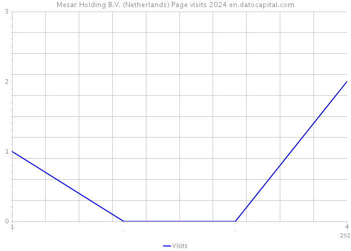 Mesar Holding B.V. (Netherlands) Page visits 2024 