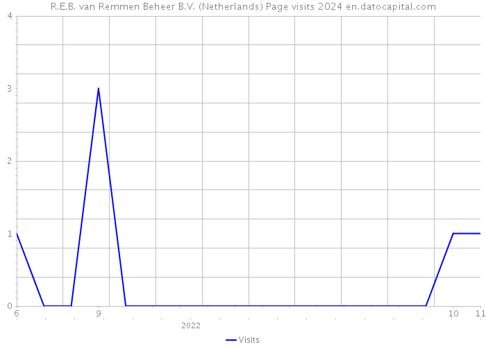 R.E.B. van Remmen Beheer B.V. (Netherlands) Page visits 2024 