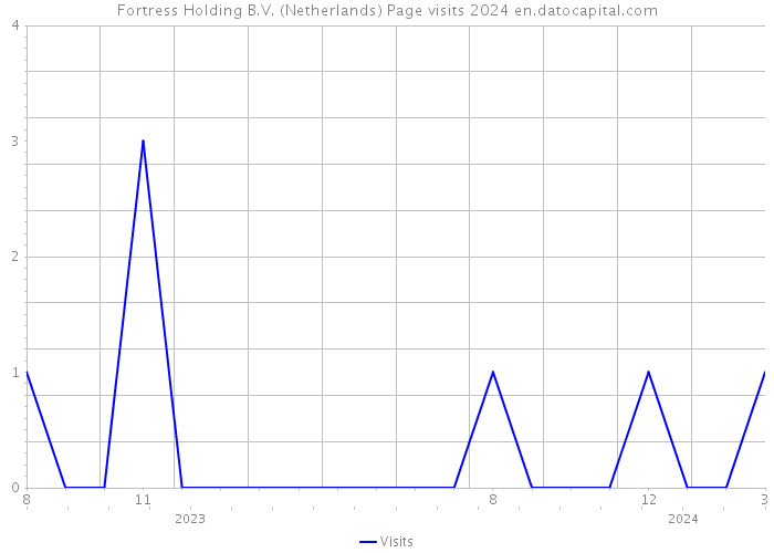 Fortress Holding B.V. (Netherlands) Page visits 2024 