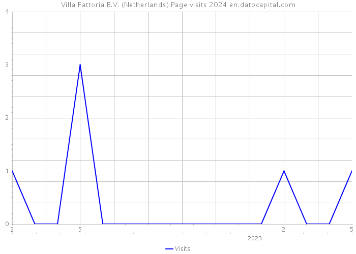 Villa Fattoria B.V. (Netherlands) Page visits 2024 