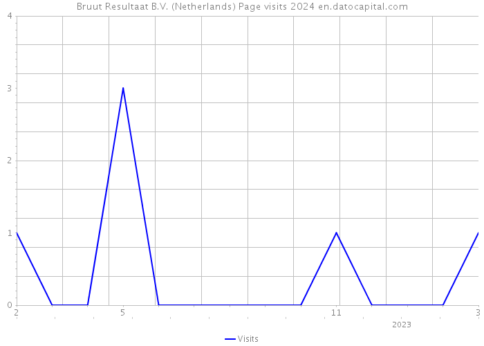 Bruut Resultaat B.V. (Netherlands) Page visits 2024 