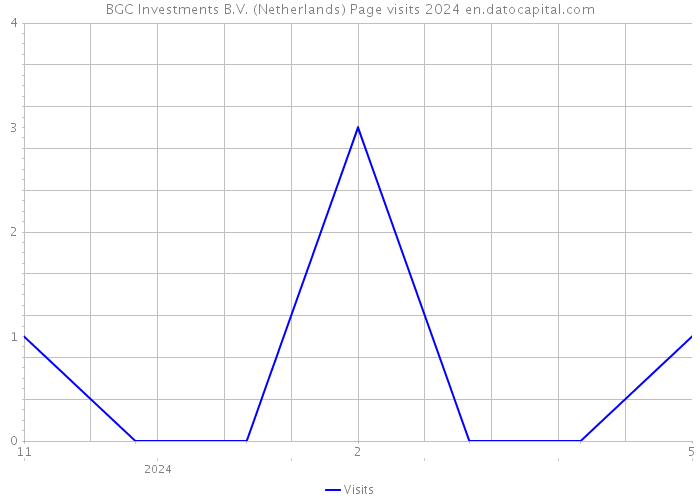 BGC Investments B.V. (Netherlands) Page visits 2024 