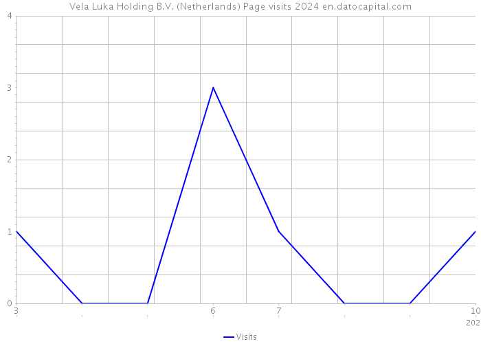 Vela Luka Holding B.V. (Netherlands) Page visits 2024 