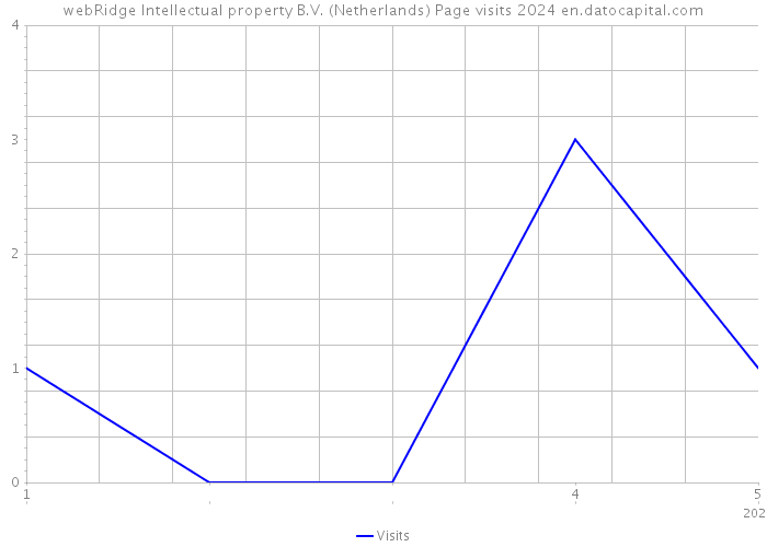 webRidge Intellectual property B.V. (Netherlands) Page visits 2024 