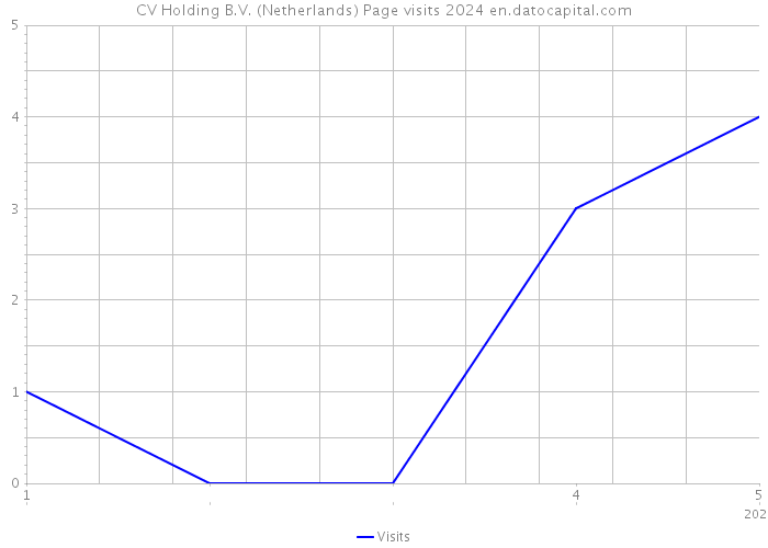 CV Holding B.V. (Netherlands) Page visits 2024 