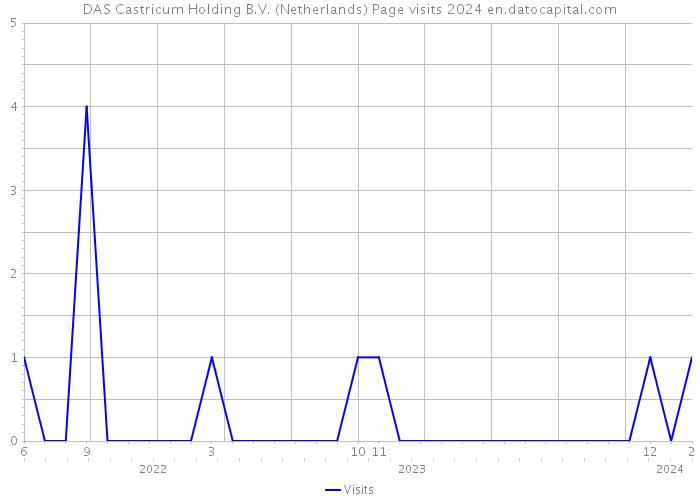 DAS Castricum Holding B.V. (Netherlands) Page visits 2024 