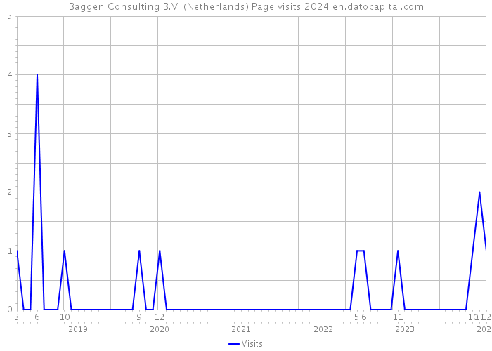 Baggen Consulting B.V. (Netherlands) Page visits 2024 