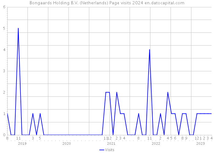 Bongaards Holding B.V. (Netherlands) Page visits 2024 