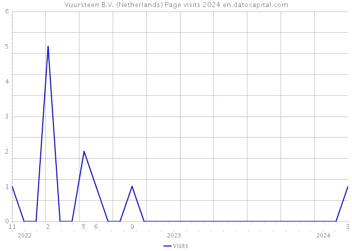 Vuursteen B.V. (Netherlands) Page visits 2024 