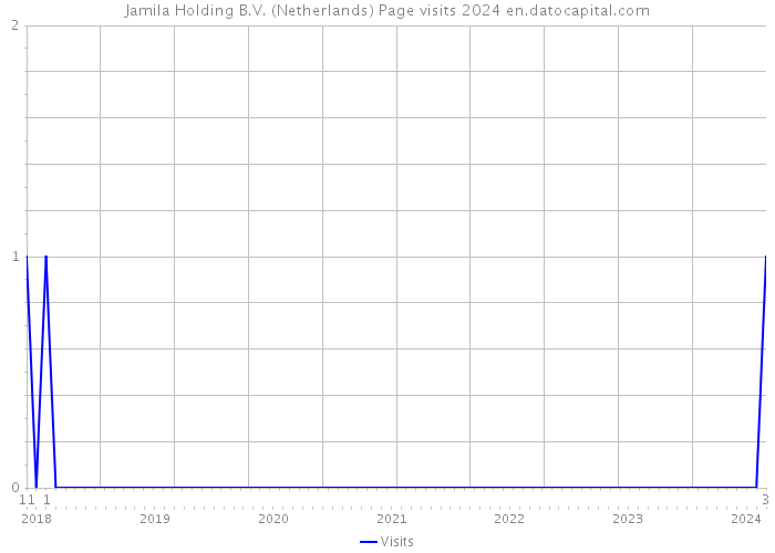 Jamila Holding B.V. (Netherlands) Page visits 2024 