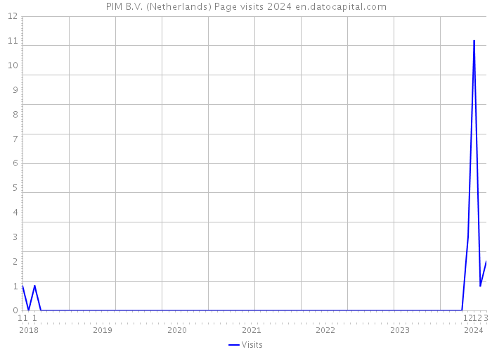 PIM B.V. (Netherlands) Page visits 2024 
