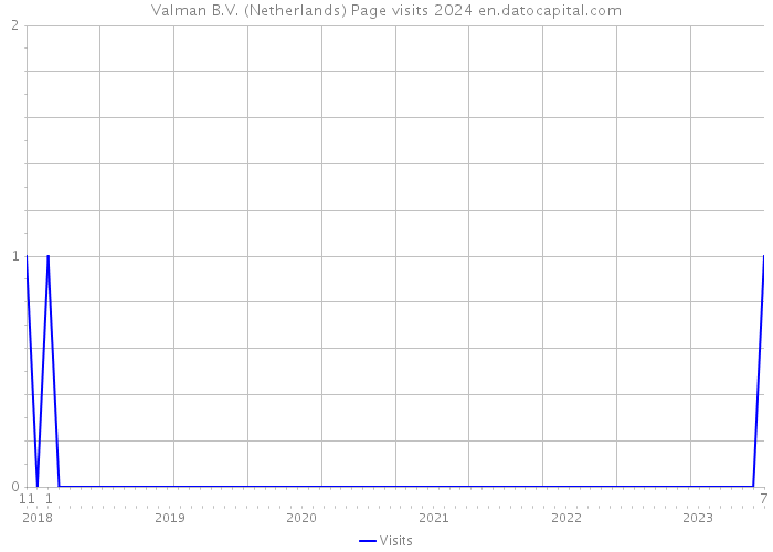 Valman B.V. (Netherlands) Page visits 2024 