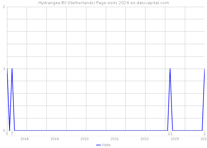 Hydrangea BV (Netherlands) Page visits 2024 