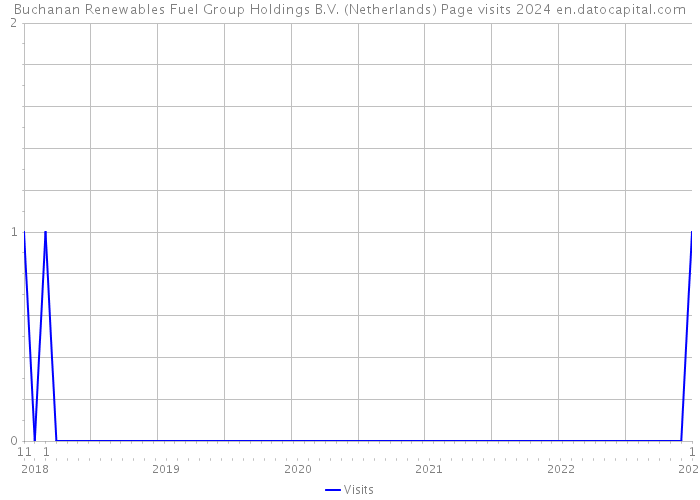 Buchanan Renewables Fuel Group Holdings B.V. (Netherlands) Page visits 2024 