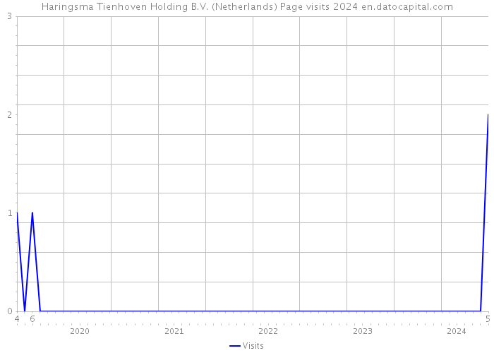 Haringsma Tienhoven Holding B.V. (Netherlands) Page visits 2024 