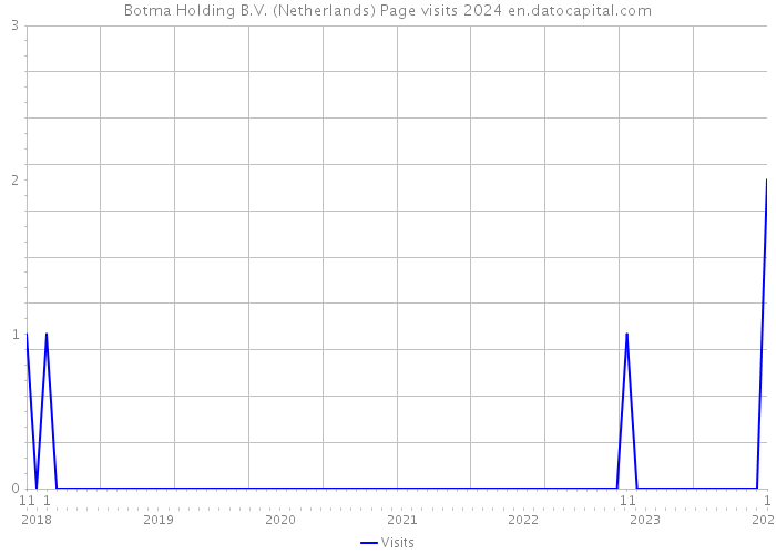 Botma Holding B.V. (Netherlands) Page visits 2024 
