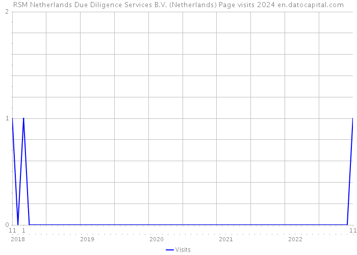 RSM Netherlands Due Diligence Services B.V. (Netherlands) Page visits 2024 