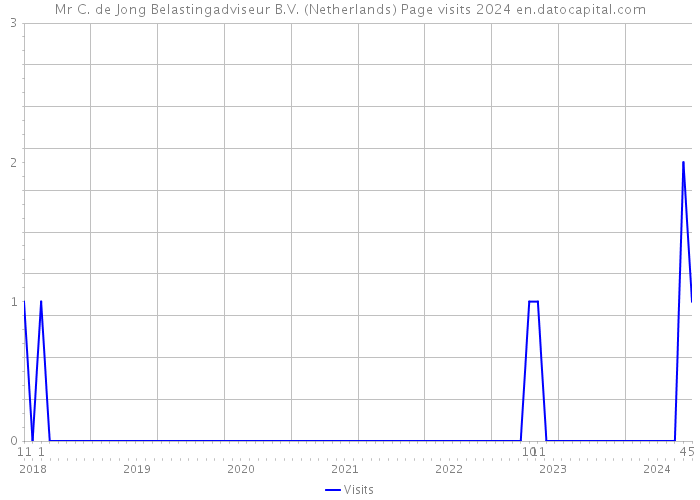 Mr C. de Jong Belastingadviseur B.V. (Netherlands) Page visits 2024 