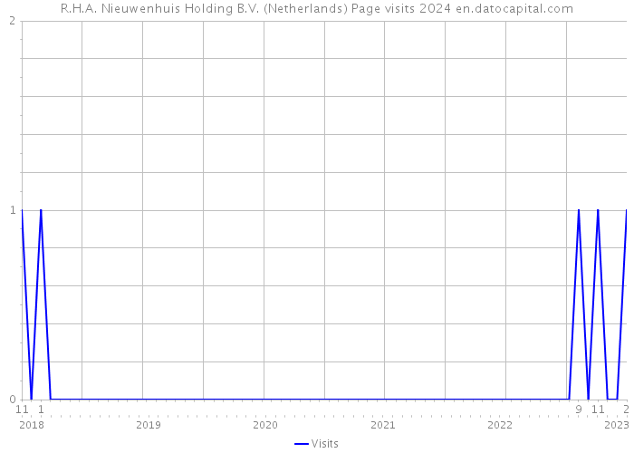 R.H.A. Nieuwenhuis Holding B.V. (Netherlands) Page visits 2024 
