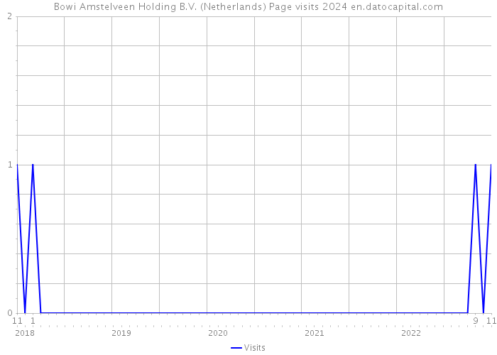 Bowi Amstelveen Holding B.V. (Netherlands) Page visits 2024 