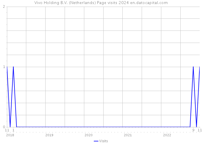 Vivo Holding B.V. (Netherlands) Page visits 2024 