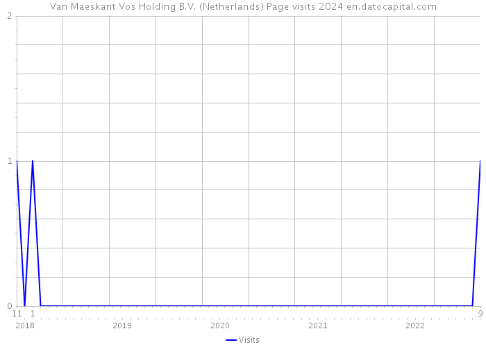 Van Maeskant Vos Holding B.V. (Netherlands) Page visits 2024 