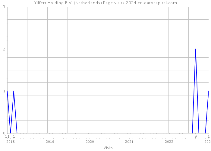 Yilfert Holding B.V. (Netherlands) Page visits 2024 