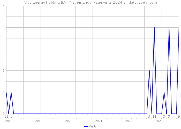 Vivo Energy Holding B.V. (Netherlands) Page visits 2024 