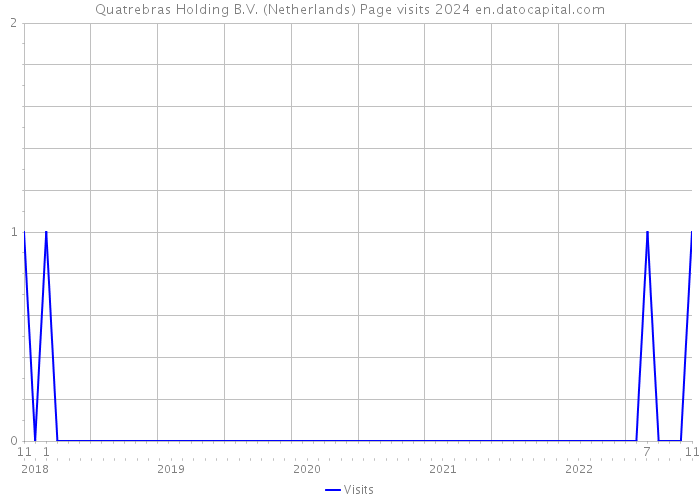 Quatrebras Holding B.V. (Netherlands) Page visits 2024 