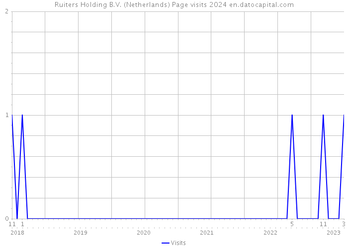 Ruiters Holding B.V. (Netherlands) Page visits 2024 